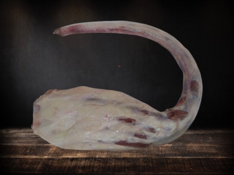 หางลอก หางลอก